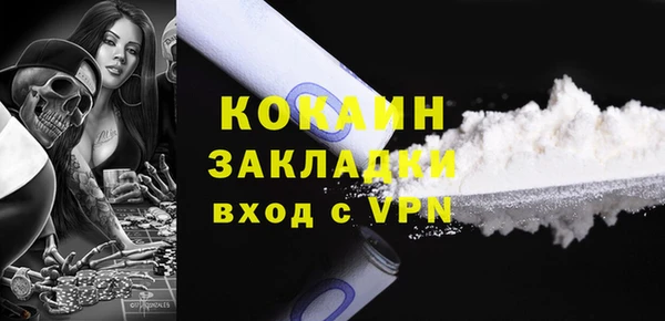 молекула духа Богородицк