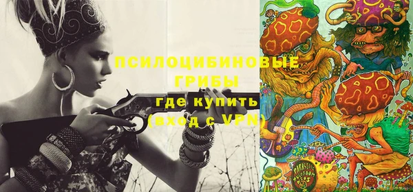 молекула духа Богородицк