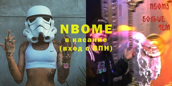 молекула духа Богородицк