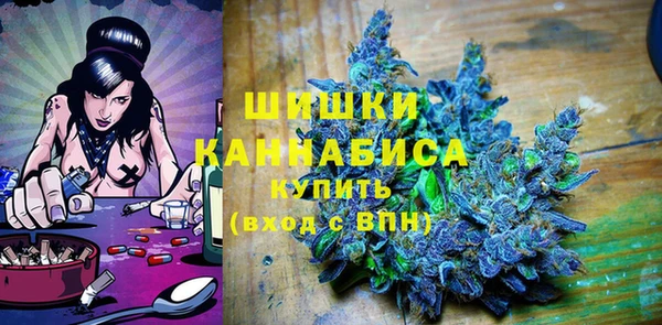 дурь Богданович