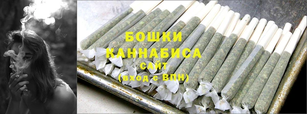 молекула духа Богородицк
