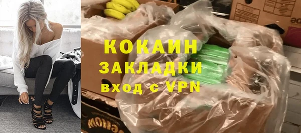 молекула духа Богородицк