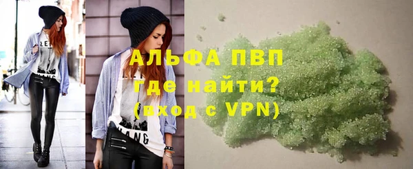 молекула духа Богородицк