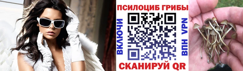 Псилоцибиновые грибы MAGIC MUSHROOMS  купить   Улан-Удэ 